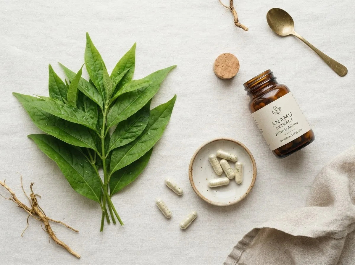 Anamu leaves and capsules representing its benefits