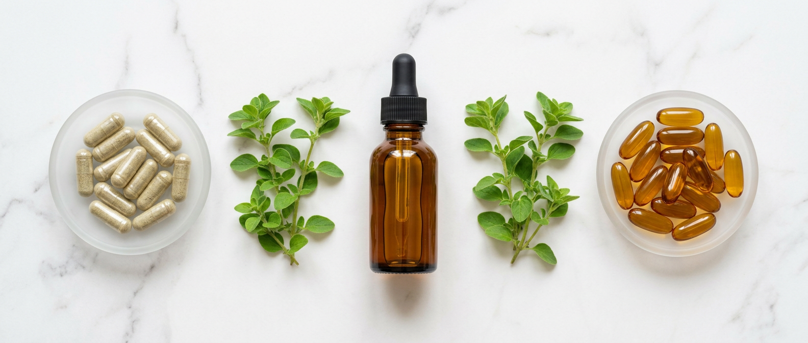 oregano oil capsules vs liquid softgels hero