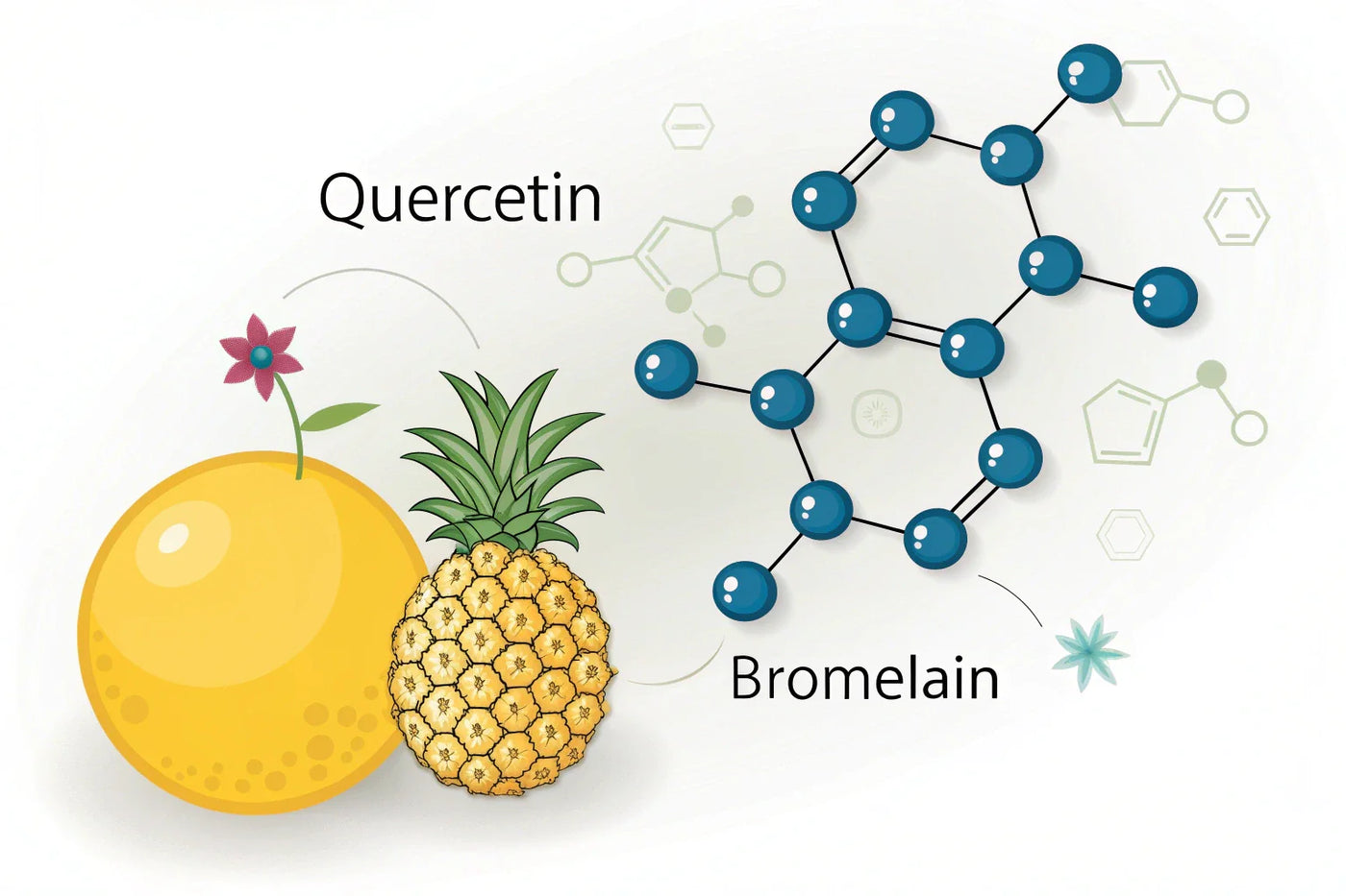 Quercetin with Bromelain